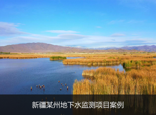 新疆某州地下水位監(jiān)測項目案例分享